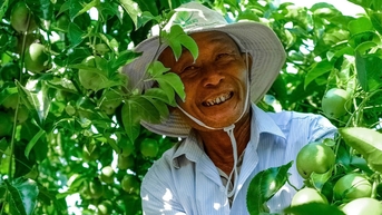 Chanh leo có rất nhiều tác dụng tốt cho sức khỏe, không phải ai cũng biết