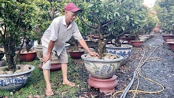 Sức mua chậm, nhà vườn tăng bán online