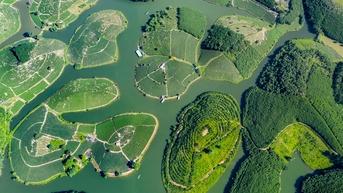 កោះតែនៅ Thanh Chuong, Nghe An