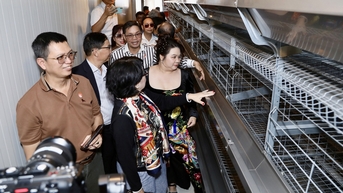 Xã nghèo ven biển ‘lột xác’ nhờ dự án nuôi gà công nghệ cao