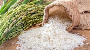 Chuyên gia lý giải việc giá lúa tăng cao, giá gạo lại giảm nhẹ