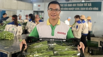 ផលិតបន្លែសុវត្ថិភាពតាមខ្សែសង្វាក់មួយ សហករណ៍នៅ Phu Tho រកចំណូលបាន ១៥ ពាន់លានដុង/ឆ្នាំ
