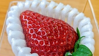 Vải thiều Úc gần 6 triệu đồng/hộp, dâu tây Nhật 7 triệu đồng/kg vẫn 'cháy' hàng