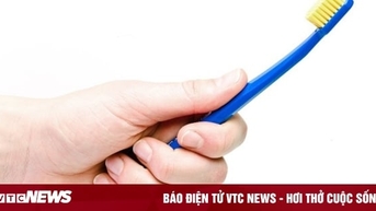 តើច្រាសដុសធ្មេញគួរត្រូវបានជំនួសញឹកញាប់ប៉ុណ្ណា?