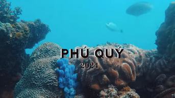 Đảo Phú Quý