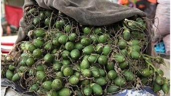 Giá cau tươi ở Nghệ An giảm mạnh; cam sành giá giảm chỉ còn 2.000 đồng/kg