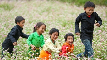 Hà Giang sẵn sàng đón du khách trong mùa hoa tam giác mạch đẹp nhất trong năm