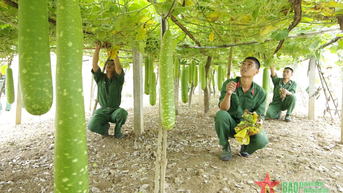 Tự soi, tự sửa ở Sư đoàn 312