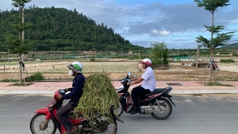 Xây dựng khu dân cư trên vùng trồng tỏi Lý Sơn: Người dân bất an về kế sinh nhai
