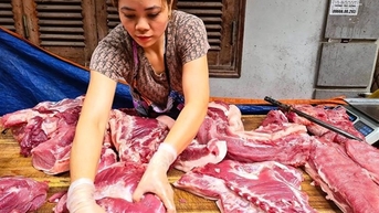 Giá lợn hơi miền Bắc sụt giảm, miền Nam bật tăng