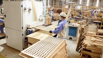 Châu Á tiếp tục là thị trường xuất khẩu lớn nhất của nông - lâm