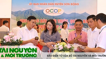 Sản phẩm OCOP giúp nhiều người dân ổn định đời sống