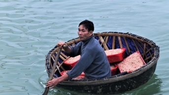 5-7 tiếng ra biển, ngư dân Hà Tĩnh kiếm hàng chục triệu đồng nhờ trúng đậm con ruốc