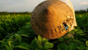 Ông bà ta đã vận dụng STEM từ thời xa xưa!