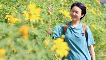 Hoa dã quỳ "phủ vàng" ngoại thành Hà Nội, du khách thi nhau leo núi săn đón