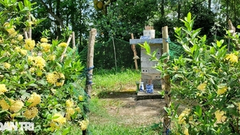 Chuyện lạ ở nơi "mở cửa lên trời" gần 500 năm trước