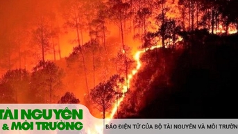 각 부처, 지부, 지방자치단체에서는 산불을 긴급히 예방하고 진화합니다.
