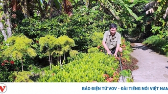 Ông Chà Cụt chỉ còn 1 chân vẫn lao động thu 300 triệu /năm