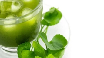 ផឹកទឹក Pennywort ដើម្បីឱ្យត្រជាក់ តើអ្នកណាគួរជៀសវាង?