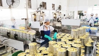 Nông dân một tỉnh giáp Trung Quốc thu hơn 258 tỷ đồng từ loài cây chứa rất nhiều vitamin, khoáng chất