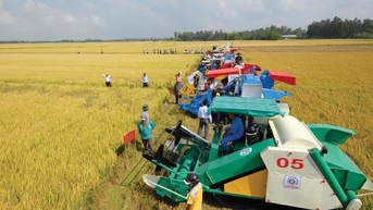 6 giải pháp giúp ngành nông nghiệp tăng tốc