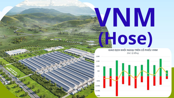VNM trở lại top 10 với vốn hóa 6,4 tỷ USD, nhà đầu cần lưu ý gì?