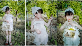 Du khách nườm nượp đến ngắm vườn nho mẫu đơn Nhật bản tiền tỷ ở Đắk Lắk.