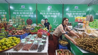 Hà Nội: Sắp diễn ra “Tuần hàng quảng bá nông sản Hà Nội và các tỉnh, thành phố năm 2023”