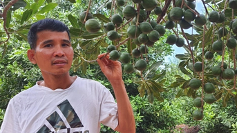 Tưởng vỡ mộng hóa ra 50 năm ngồi chơi thu tiền với "cây tỷ phú"