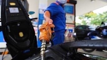 Giá xăng dầu hôm nay 12.9: Đồng loạt tăng