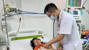 Ẩn họa độc tố từ những cây nấm tự nhiên