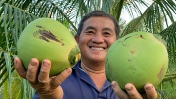 6.000ha dừa hữu cơ gắn với chế biến sâu để xuất khẩu