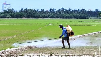 Hơn 4.800 loại thuốc bảo vệ thực vật được phép sử dụng tại Việt Nam
