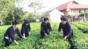 Người Tân Đô giữ gìn bản sắc văn hóa dân tộc để phát triển du lịch