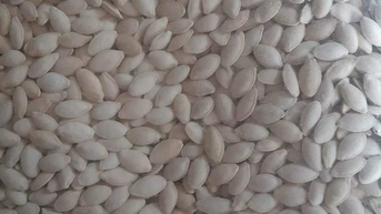 ការទទួលទានគ្រាប់ល្ពៅជួយកាត់បន្ថយជាតិស្ករក្នុងឈាម