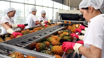 7 nhiệm vụ đưa xuất khẩu rau, quả đạt 10 tỷ USD