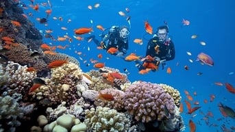 A Tale of Phu Quoc