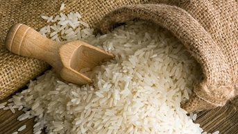 Khoảng lặng của hạt gạo Việt
