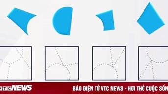 Từ bốn mảnh ghép này có thể ghép được hình nào?