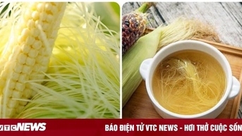 Những người không nên uống nước râu ngô