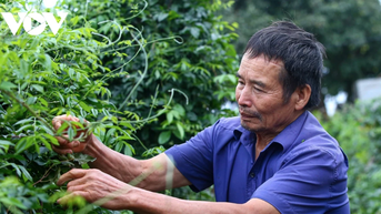 Chăm lo đời sống nông dân là nhiệm vụ trọng tâm của cả hệ thống chính trị