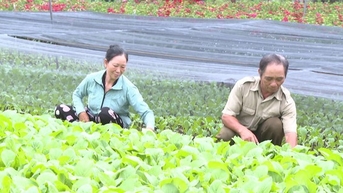 Hiệu quả từ những chương trình tín dụng chính sách xã hội
