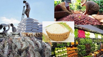 ជំរុញការនាំចេញកសិកម្ម រុក្ខាប្រមាញ់ និងនេសាទ ដើម្បីទាញយកអត្ថប្រយោជន៍ពីសមាហរណកម្មសេដ្ឋកិច្ចអន្តរជាតិ