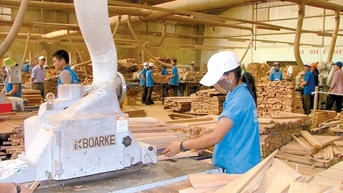 Doanh nghiệp gỗ chật vật tìm đơn hàng