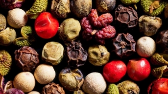 ទីផ្សារកំពុងរីកចម្រើន ការនាំចេញម្រេចវៀតណាមទៅកាន់ UAE កើនឡើងយ៉ាងខ្លាំង