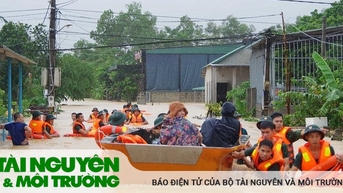 Các địa phương chủ động, linh hoạt ứng phó