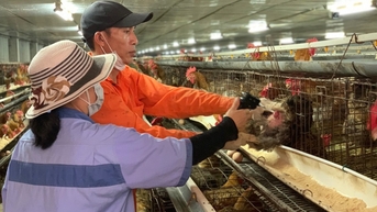 Quỹ Khuyến nông Hà Nội Tiếp sức cho nông nghiệp Thủ đô phát triển