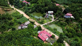 Yên Bái sắp có cơ sở chế biến quế 22 tỉ đồng