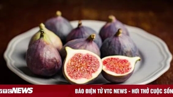 Quả sung chữa được bệnh gì?