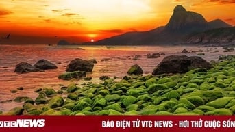 Bà Rịa - Vũng Tàu 'vượt sóng' thành điểm đến du lịch quốc gia và quốc tế